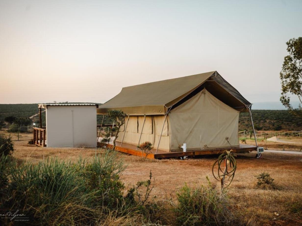 Longhill Reserve Addo Kamer foto