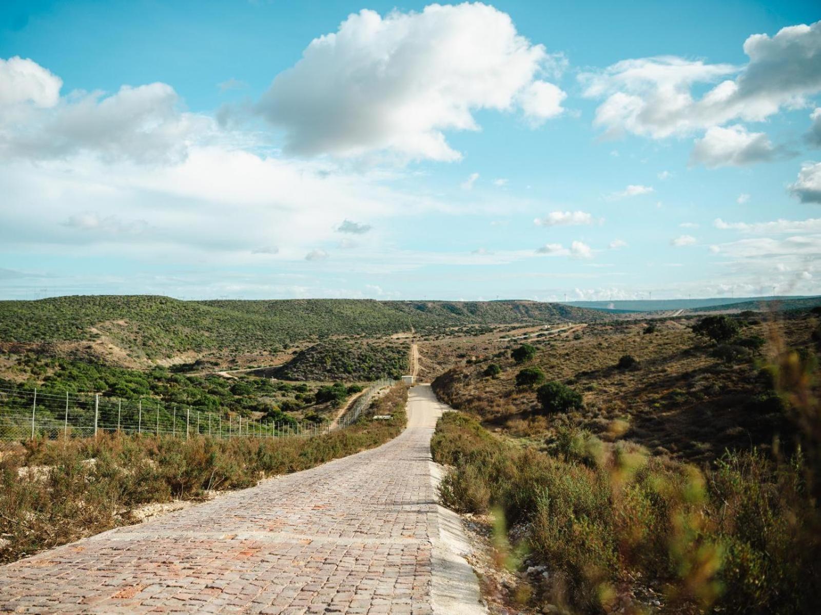 Longhill Reserve Addo Buitenkant foto