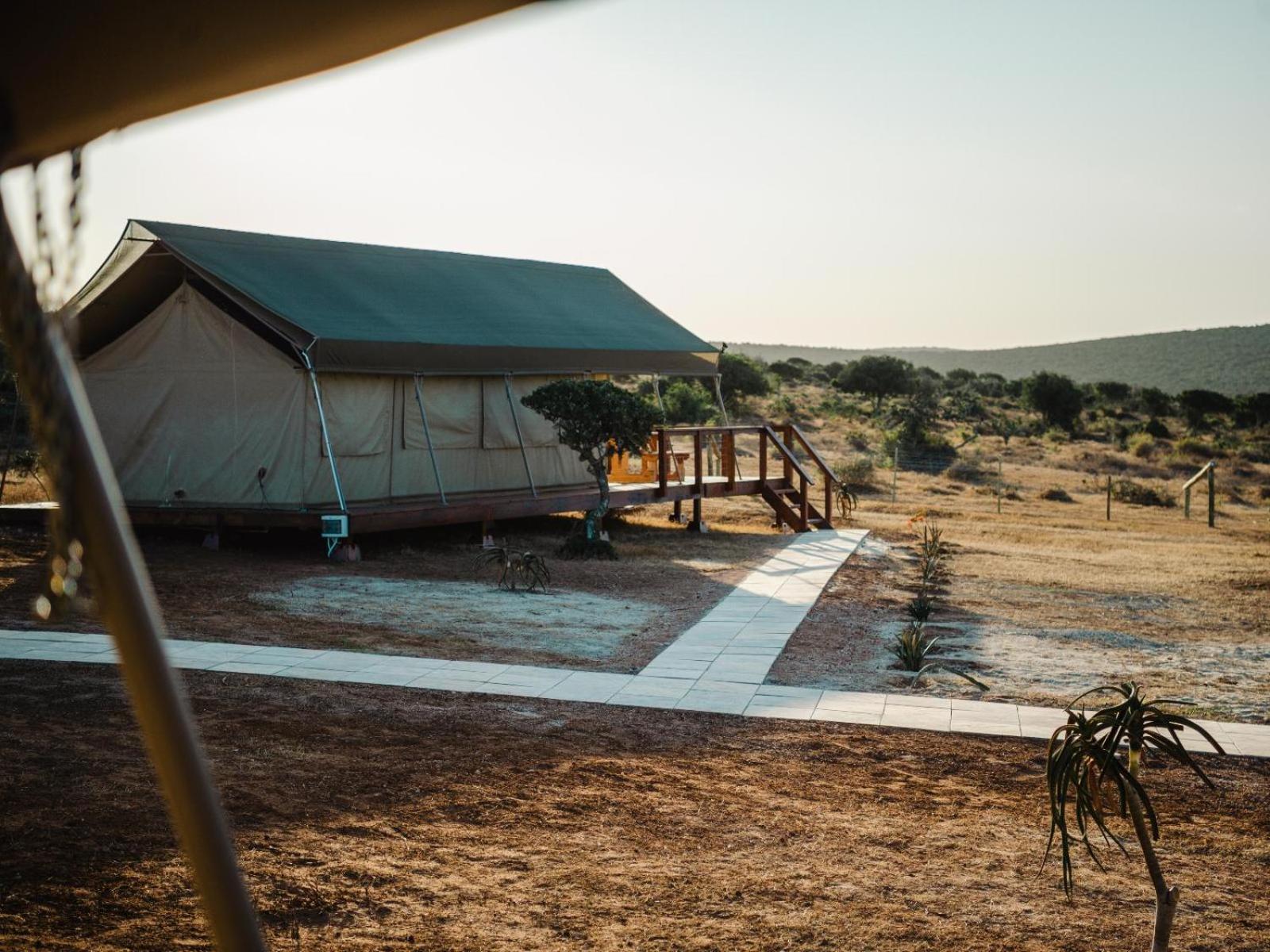 Longhill Reserve Addo Buitenkant foto