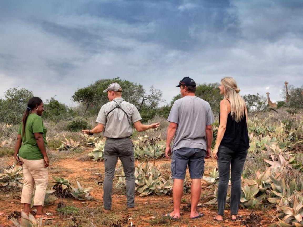 Longhill Reserve Addo Buitenkant foto